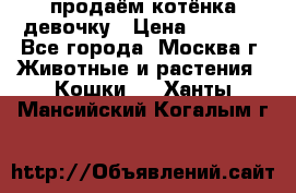 продаём котёнка девочку › Цена ­ 6 500 - Все города, Москва г. Животные и растения » Кошки   . Ханты-Мансийский,Когалым г.